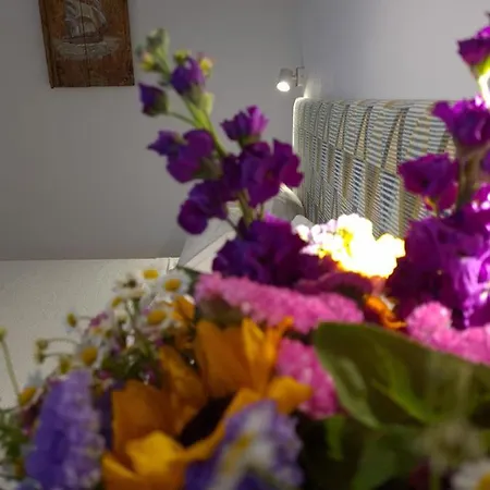 בית נופש Bella Alba